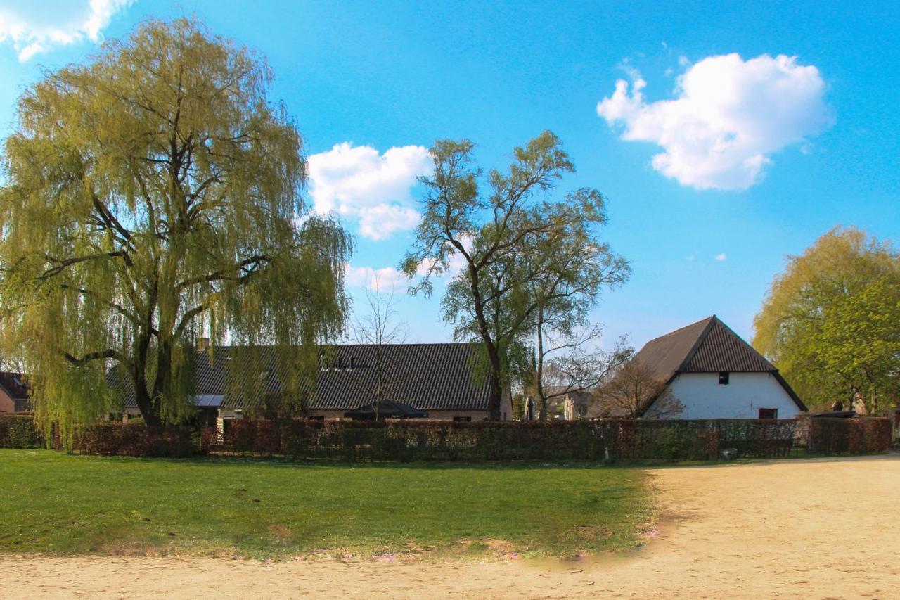 Bouwelhoeve 'T Schuur Grobbendonk Exteriör bild